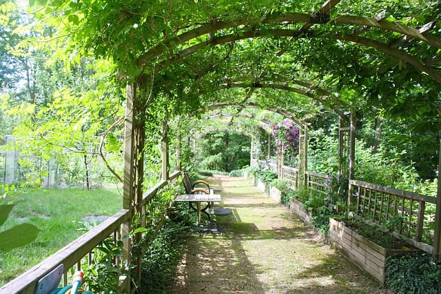 Pergola in tuin maken