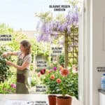 Rust en inspiratie vinden: tuinieren, kunst en dagelijkse tips